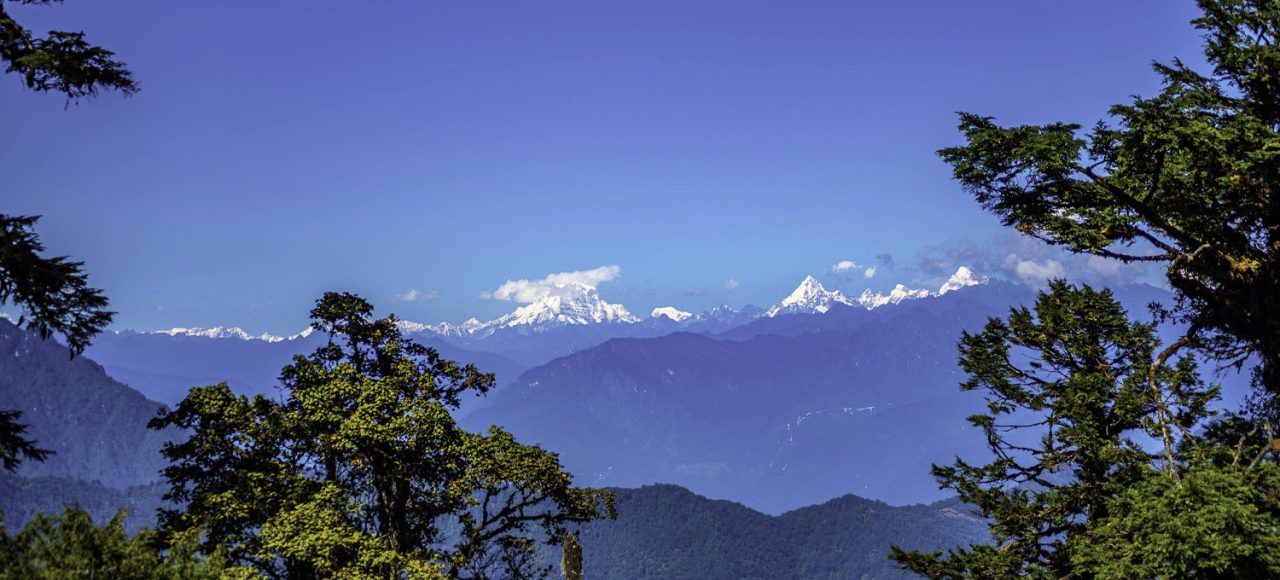 Mountain trail on the Rodung La Trek with forests, meadows, and fluttering prayer flags.