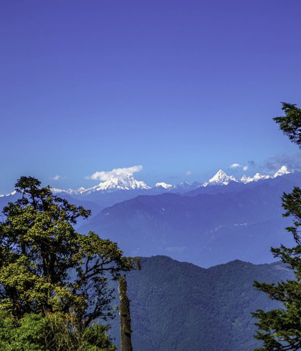 Mountain trail on the Rodung La Trek with forests, meadows, and fluttering prayer flags.