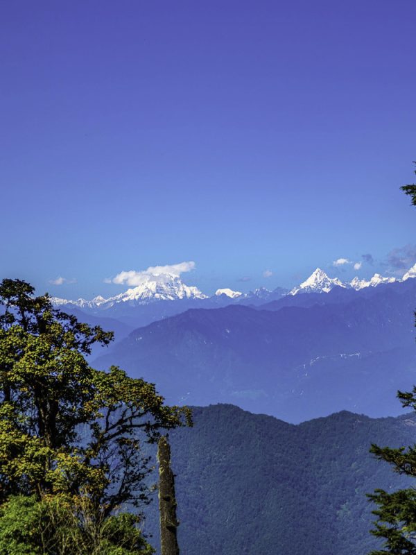Mountain trail on the Rodung La Trek with forests, meadows, and fluttering prayer flags.