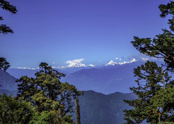 Mountain trail on the Rodung La Trek with forests, meadows, and fluttering prayer flags.