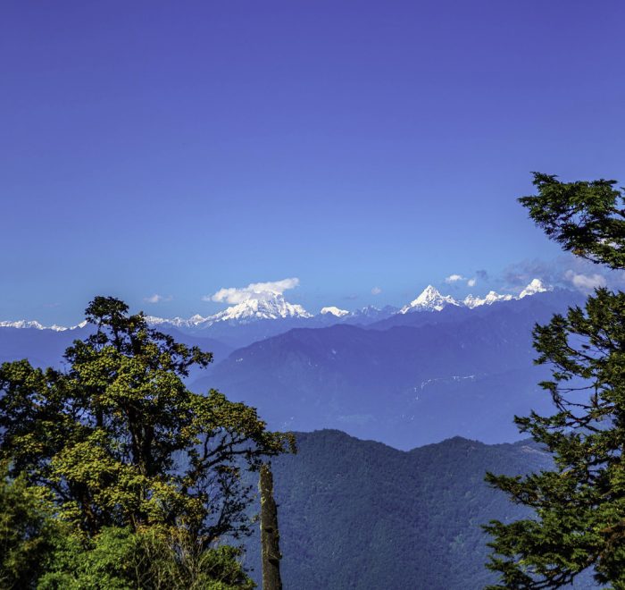 Mountain trail on the Rodung La Trek with forests, meadows, and fluttering prayer flags.