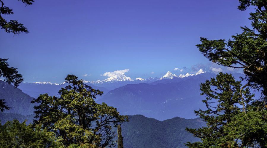 Mountain trail on the Rodung La Trek with forests, meadows, and fluttering prayer flags.
