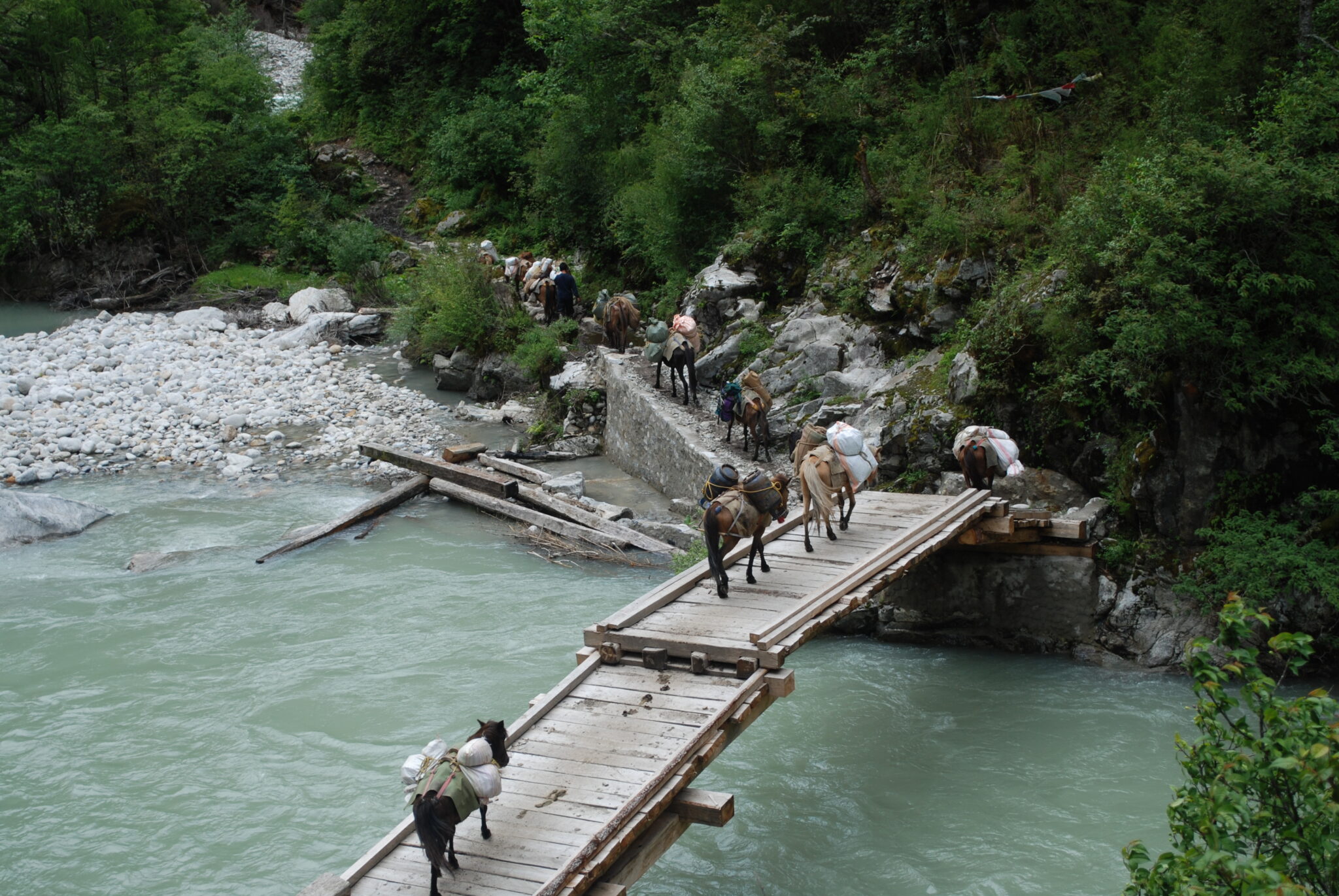 Laya village at 3,840m on Bhutan Snowman Trek with traditional houses and Himalayan mountain views.