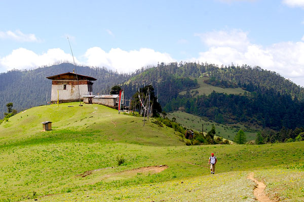 Jele Dzong, a historic hilltop fortress surrounded by pine forests with panoramic views of Paro Valley, Bhutan.