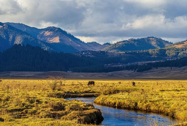Route; Paro ,Thimphu , Punakha ,Phobjikha Valley , Paro