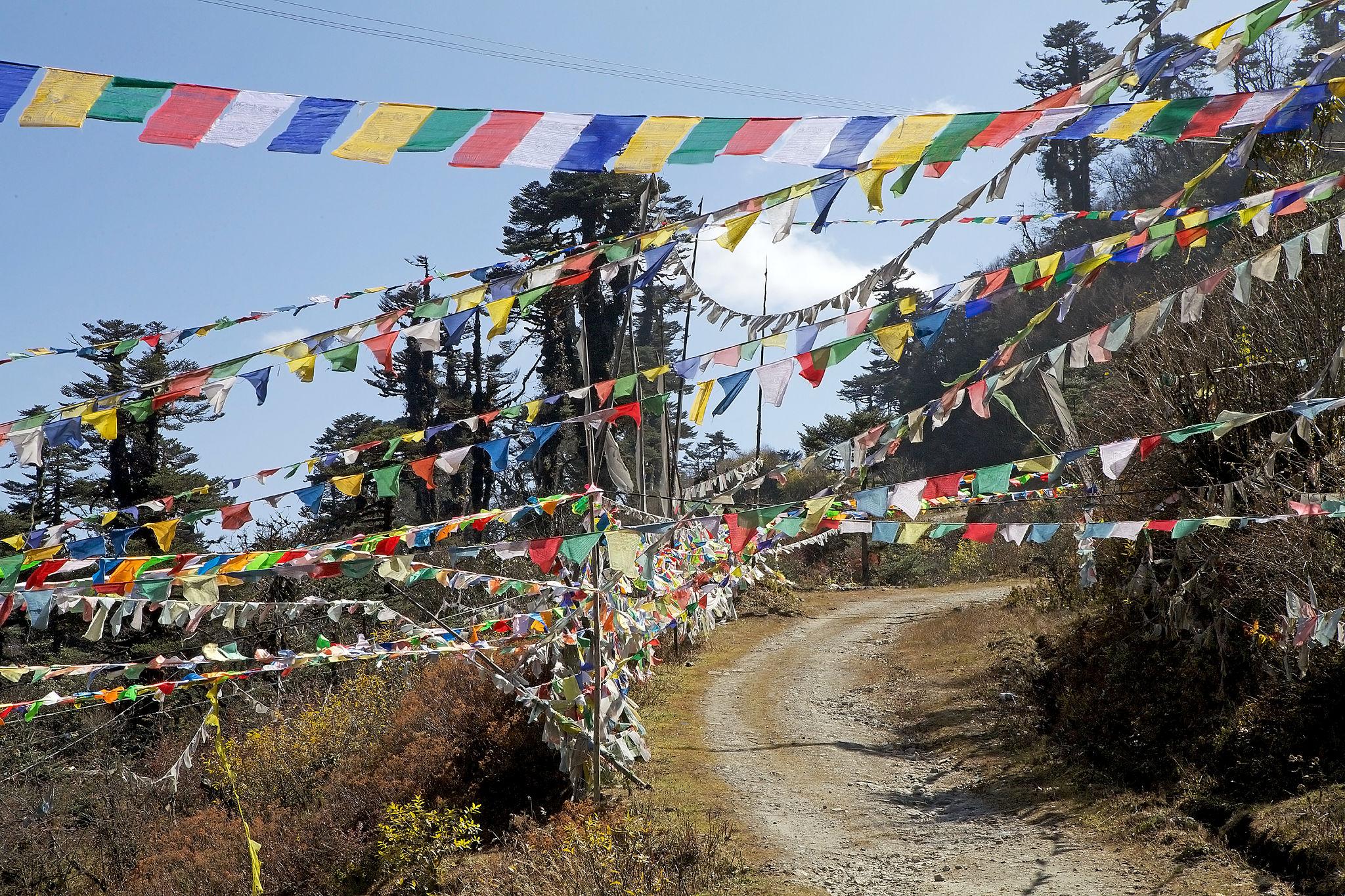 Yotong La Pass in Bhutan with winding mountain roads, lush forests, and breathtaking Himalayan landscape views.