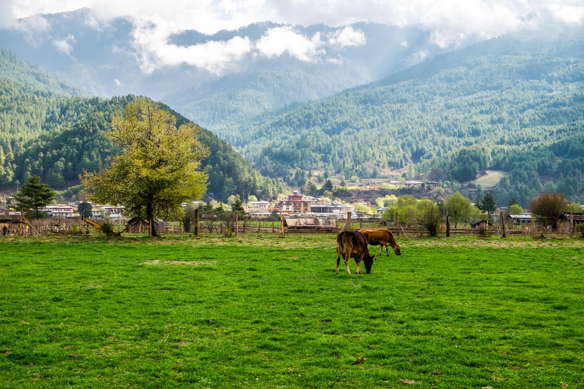 bumthang
