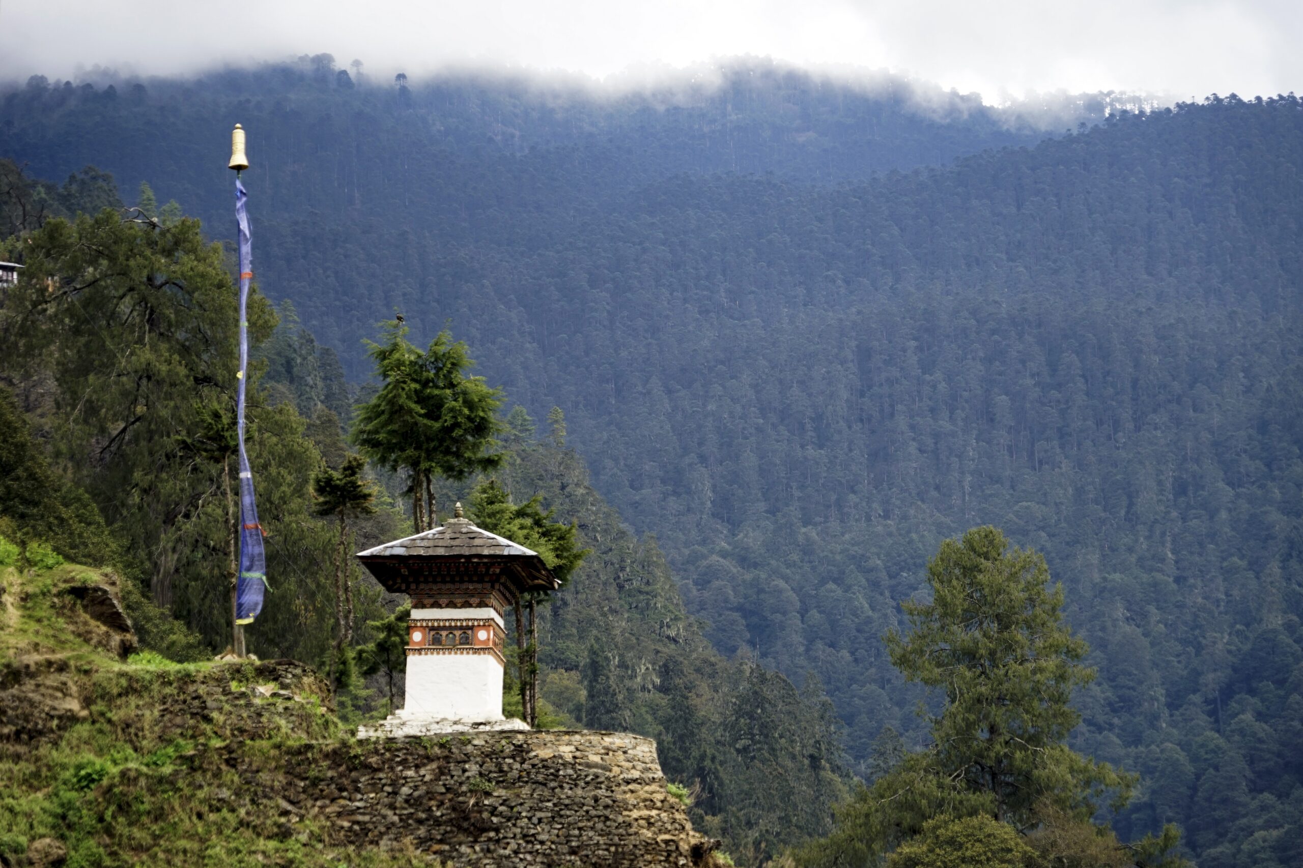 Trekkers crossing the scenic Dagala Trek route with alpine lakes, green meadows, and panoramic Himalayan views in Bhutan.