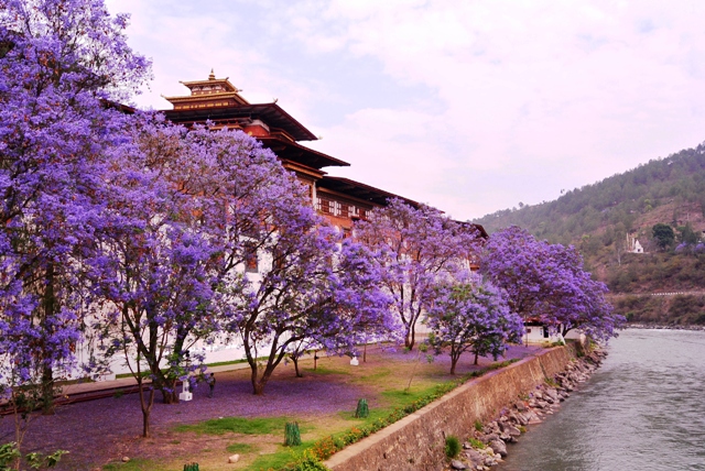 Routes: Thimphu,Punakha, & Paro